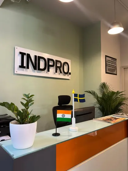 A simple ZZ plant on the reception desk at Indpro. It's a low-maintenance yet elegant choice for office environments, known for its resilience and air-purifying qualities.