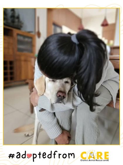 Charlie's Animal Rescue Centre - Animal Rescue & Adoption Happy Tails: Our Adoption Stories photo 17