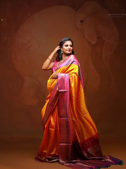 A stunning portrait of a mother-to-be in a multi-toned silk saree. The pose highlights the elegance of the attire and the beauty of her pregnancy.