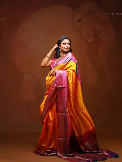 A stunning portrait of a mother-to-be in a multi-toned silk saree. The pose highlights the elegance of the attire and the beauty of her pregnancy.