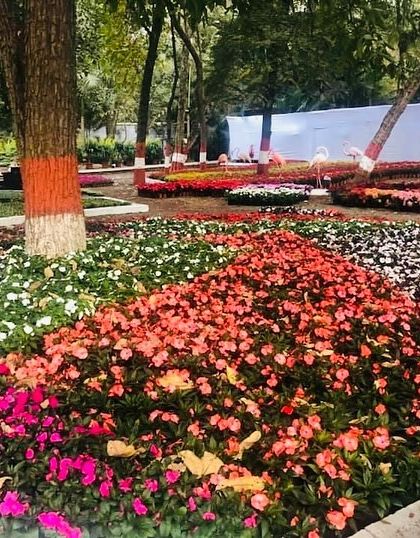 Ratnashri Landscapers - Landscape Design & Build A World of Plants & Flowers photo 17