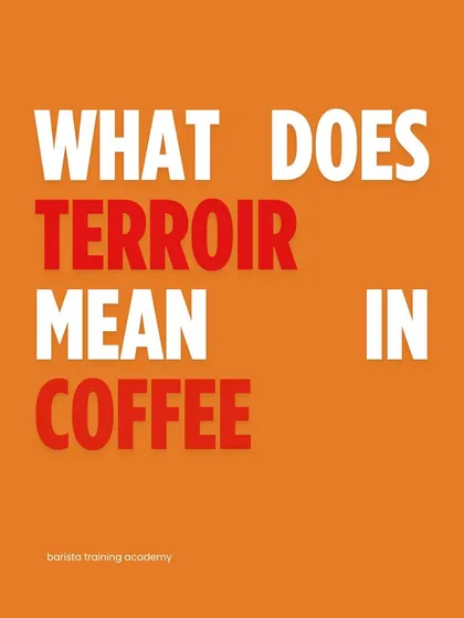 A bold graphic asking "What does terroir mean in coffee?" This is the kind of fundamental question we answer in our workshops.