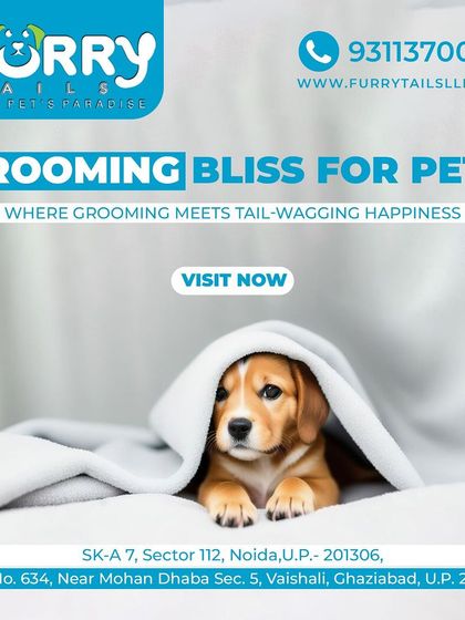 Experience grooming bliss for your pets at our centers. We create a happy, tail-wagging experience where professional grooming meets loving care.