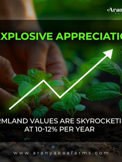 Farmland values are demonstrating explosive appreciation, with data showing a consistent rise of 10-12% per year. This upward trend makes it one of the most stable and profitable long-term investments available today.