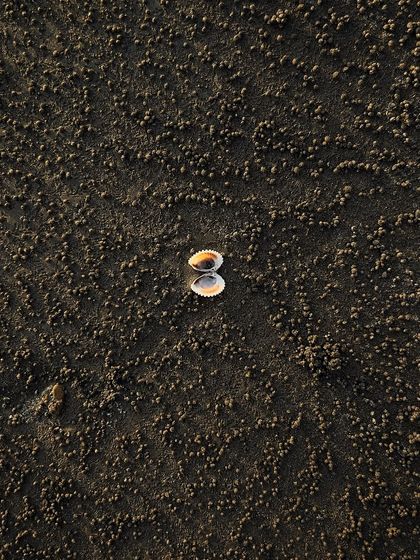 Abstracts & Details photo 6