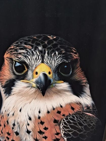 An incredibly detailed and lifelike portrait of a falcon, where every feather and the intensity in the bird's eyes are captured with precision.