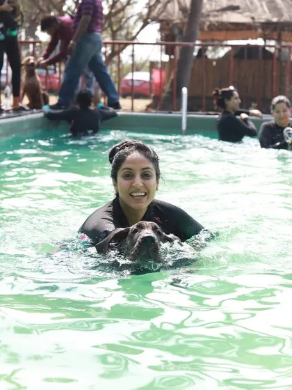 Nothing beats a cool dip in the pool on a warm day. Swimming is a huge part of our doggy camp, and it's amazing to see so many dogs, from seasoned swimmers to first-timers, enjoying the water.