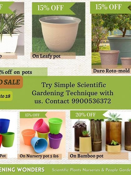 Greening Wonders - Garden Center & Plant Nursery Special Offers & Announcements photo 7