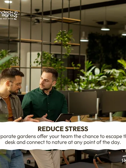 Corporate gardens offer a chance to reduce stress. Having a green space within the office allows employees to connect with nature at any point in the day, leading to a calmer, more focused mindset.