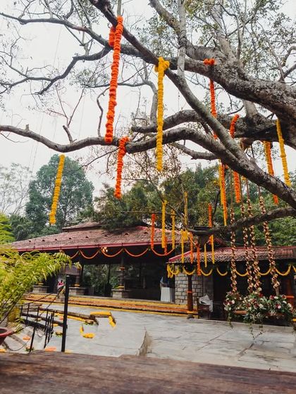 Amanati Events - Full-Service Wedding Planning Artistry in Ambiance: Decor & Venues photo 14