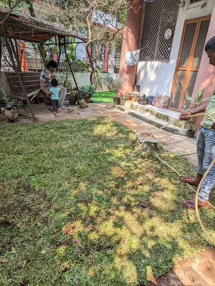 The first watering is a critical step. It helps the new lawn settle and encourages the roots to begin growing into the new soil.