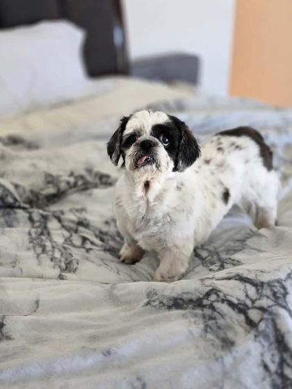 Adventures in the USA photo 14