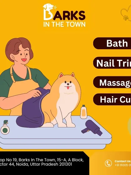 A simple breakdown of our main services: Bath, Nail Trim, Massage, and Hair Cut. We offer complete grooming packages to suit your pet's needs.