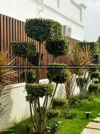 Lawn & Garden Maintenance
