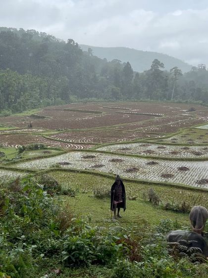 A scarecrow stands guard over paddy fields during a monsoon trek. Our routes often pass through rural landscapes, offering a glimpse into local life.