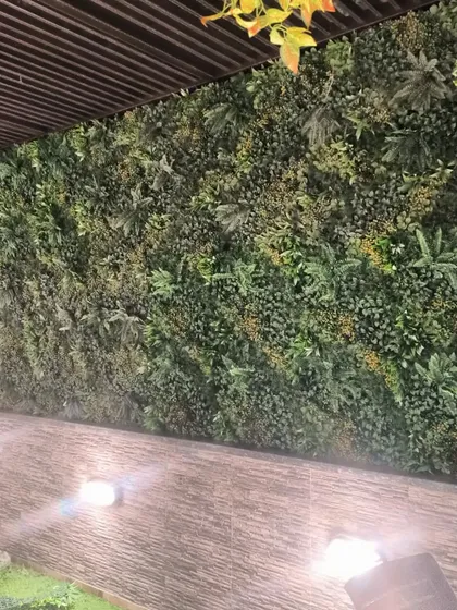 A final look at the completed wall in Paschim Vihar. The mix of different foliage gives it a very natural and dense appearance.