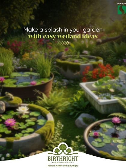 Make a splash in your garden with easy wetland ideas. By repurposing containers like old tubs, barrels, and sinks, you can create a collection of small water gardens that enhance biodiversity and create a tranquil atmosphere.