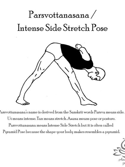 Anagha Yoga - Therapeutic Yoga Yoga Foundations: Asana Library photo 58