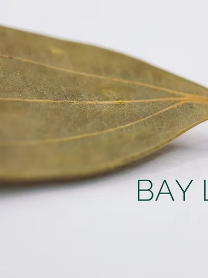 Bay Leaf, or tej patta, imparts a subtle, aromatic fragrance to rice dishes, curries, and braises.