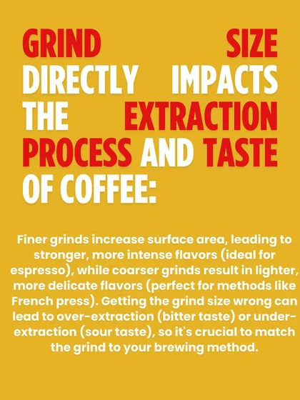 A graphic explaining how grind size directly impacts the extraction process and taste of coffee, from finer grinds for espresso to coarser grinds for French press.