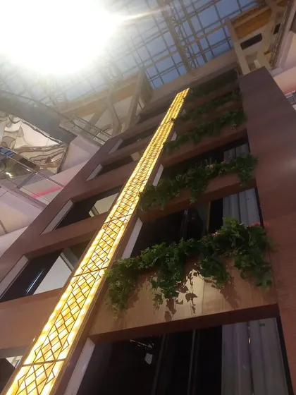 A low-angle shot showing the greenery along the elevator shaft, reaching up towards the sunlit glass ceiling.