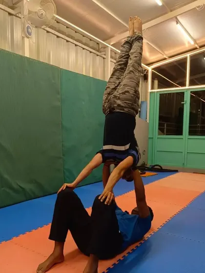 A collection of different partner handstand variations. These exercises range from handstands on a partner's back to one-arm assisted holds, all designed to build strength and teamwork.