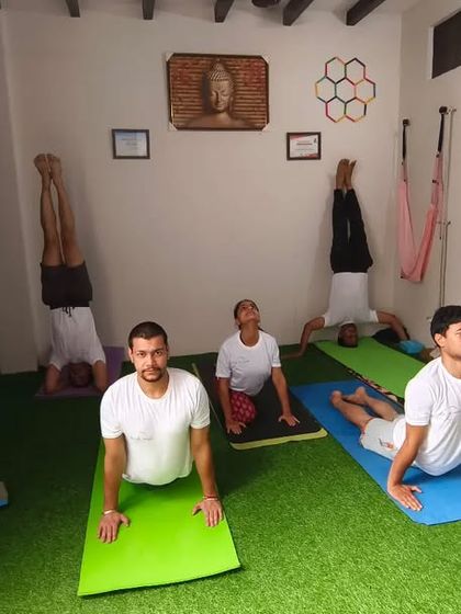 A full class with students in various poses like cobra and headstand. It shows that in my classes, everyone works at their own level.