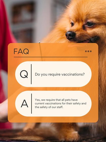 Petish Grooming - Mobile Grooming for Dogs & Cats Pet Care Tips & FAQs photo 18