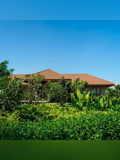 A dense border of tropical plants and trees provides a natural privacy screen for this home. The variety of leaf shapes, colors, and textures creates a rich and visually interesting garden composition.