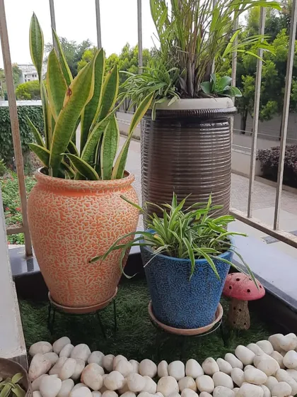 I love mixing and matching different planters to create visual interest. This corner features a variety of ceramic pots in different shapes, sizes, and textures, all brought together with a bed of white pebbles on artificial grass.
