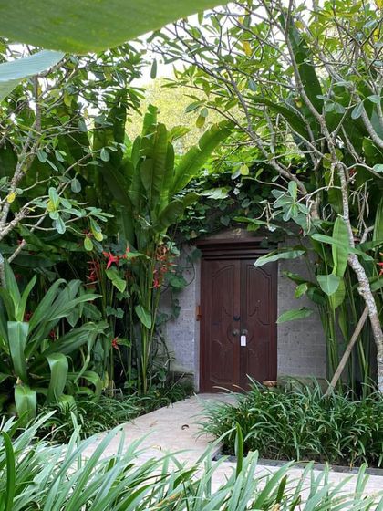 A mysterious wooden door is hidden amongst a dense planting of tropical foliage. We use pathways and plant placement to create a sense of discovery and intrigue within the garden.
