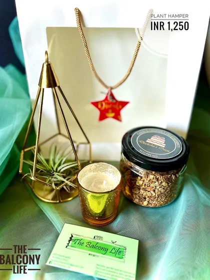 Sometimes, a simple, thoughtful gift is all you need. This sweet little plant hamper is one of our most loved options. It features an air plant in a stylish geometric holder, a fragrant soy candle, and a jar of healthy granola, all packed in a lovely gift bag.