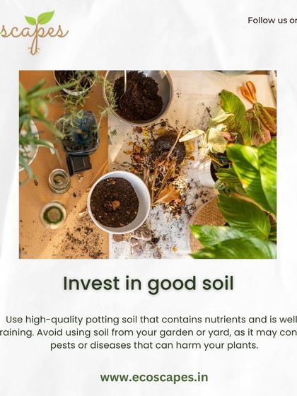 Ecoscapes Landscaping - Urban Gardening & Green Walls Urban Gardening Guides photo 6