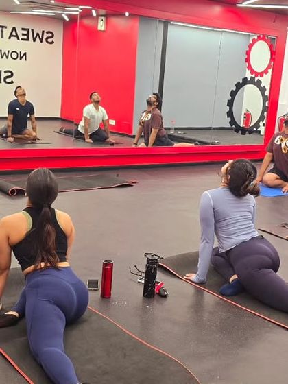 Deep Dive: Studio Asana & Technique photo 14