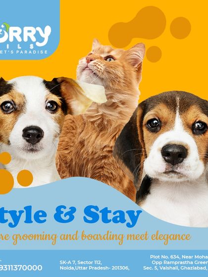 Style and stay meet elegance at FurryTails. We offer a perfect combination of professional grooming and premium boarding services for dogs and cats.