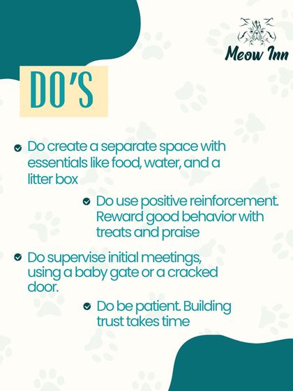 Meow Inn - Cat Adoption Services New Parent Toolkit photo 3