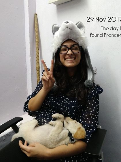 A throwback to the day I found my dog, Prancer, in 2017. This photo captures the pure joy and serendipity of the moment that changed my life.