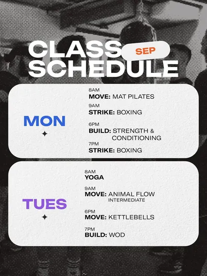Here’s a look at what a week at Knox can feel like. We offer a diverse schedule including Mat Pilates, Boxing, Strength & Conditioning, Yoga, and Animal Flow, so you can always find a class that fits your mood and goals.