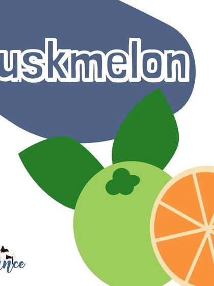 Muskmelon is a hydrating and safe fruit for your dog to enjoy. Just make sure to remove the rind and seeds first.