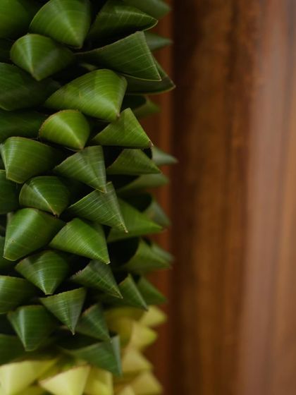 A macro shot of a traditional thoranam made from folded coconut leaves. These handcrafted details are essential for an authentic and auspicious housewarming ceremony.