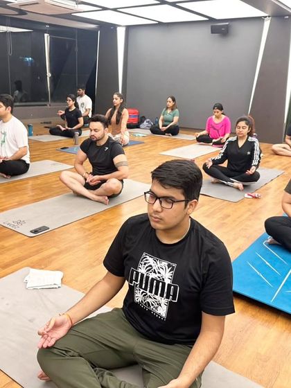 Deep Dive: Studio Asana & Technique photo 22