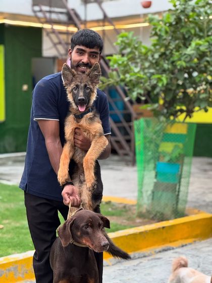 A happy smile from a German Shepherd puppy getting a lift. I love interacting with all the dogs in our care.