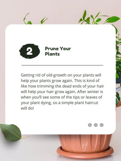 Pruning your plants is like giving them a haircut. Trimming away old growth encourages the plant to grow back stronger and fuller, especially after a long winter.