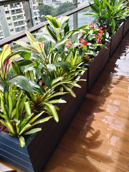 Even a compact city balcony can become a lush retreat. Here, I used a series of custom-built, modern linear planters to maximize green space without sacrificing the view, creating a perfect urban garden escape.