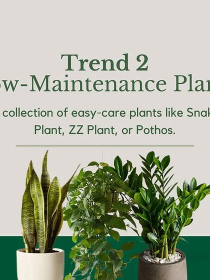 Plant Trends & Expert Tips photo 3