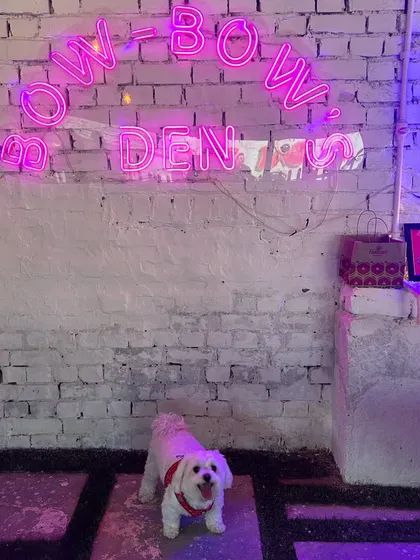 The perfect photo opportunity at our Dwarka location. Our vibrant and welcoming space is designed to be a happy haven for both pets and their parents.