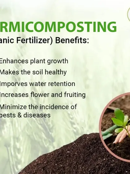 Vermicomposting is a key part of our organic process. This graphic shows how using this natural fertilizer enhances plant growth, makes soil healthier, and minimizes pests without chemicals.