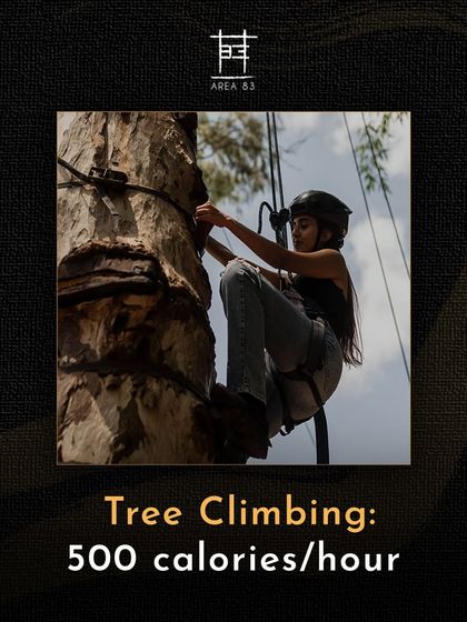 Did you know tree climbing can burn up to 500 calories per hour? It's a workout that's anything but boring.
