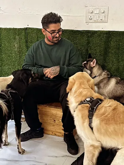 Holi celebrations with the KIGA pack. A happy, colorful moment with some of my favorite furry clients, including a Golden Retriever and a Husky.
