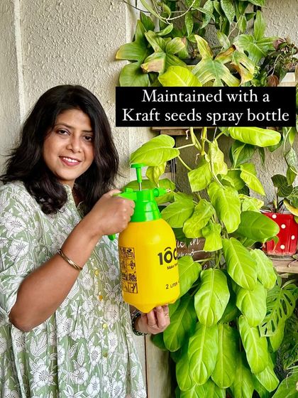 Sushmita - Indoor Plant Styling & Care Plant Care, Tips & Sourcing photo 5